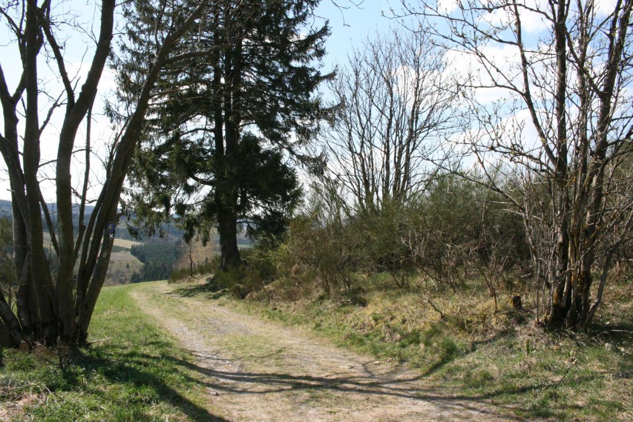 Ferienhaus Zur Ennest Schmallenberg Eksteriør bilde
