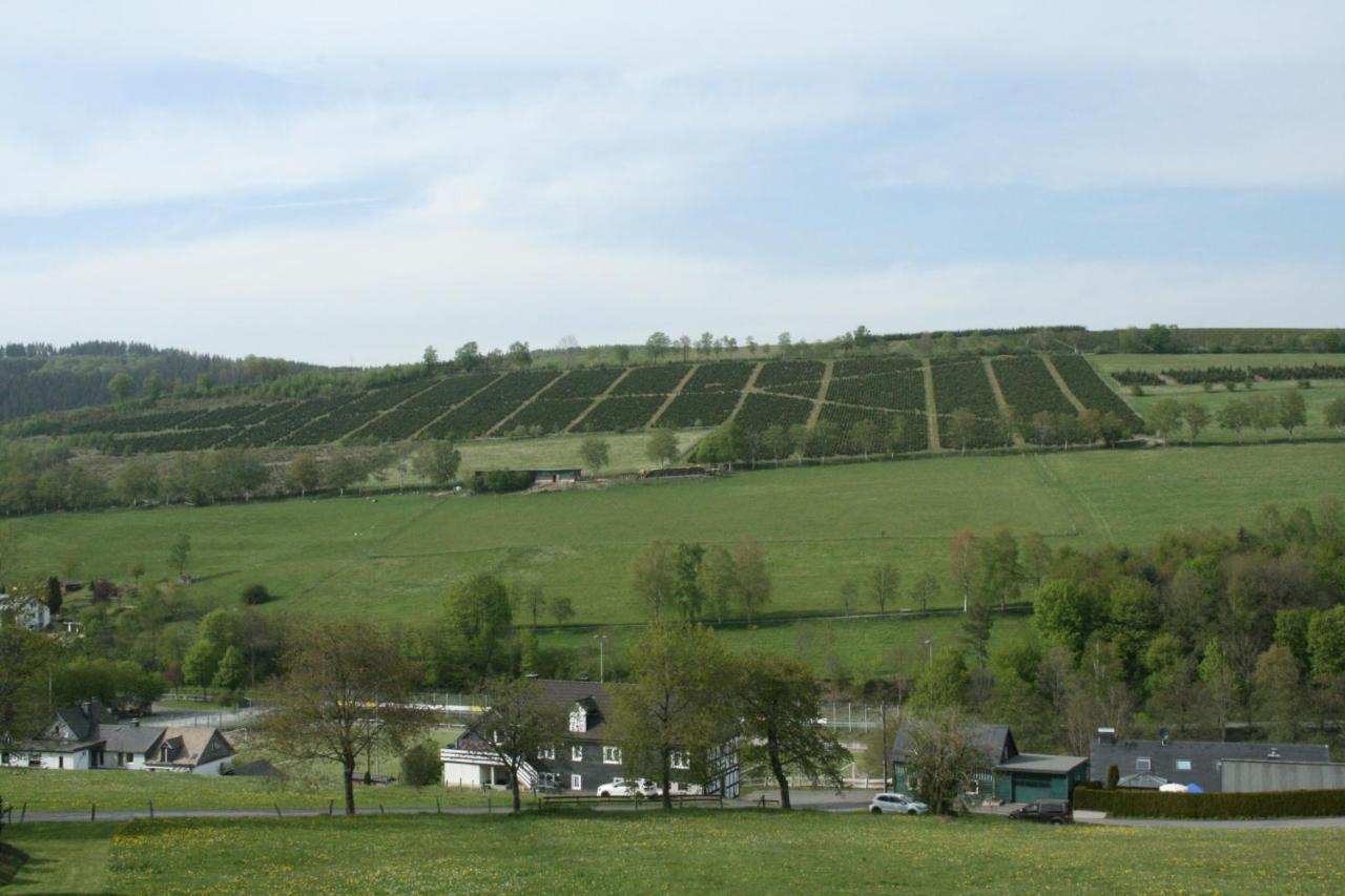 Ferienhaus Zur Ennest Schmallenberg Eksteriør bilde